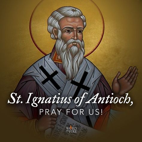 St. Ignatius of Antioch, pray for us! Saint Ignatius Of Antioch, St Ignatius Of Antioch, Saint Ignatius, Ignatius Of Antioch, Friend Of God, St Ignatius, Archangel Michael, Pray For Us, Roman Catholic