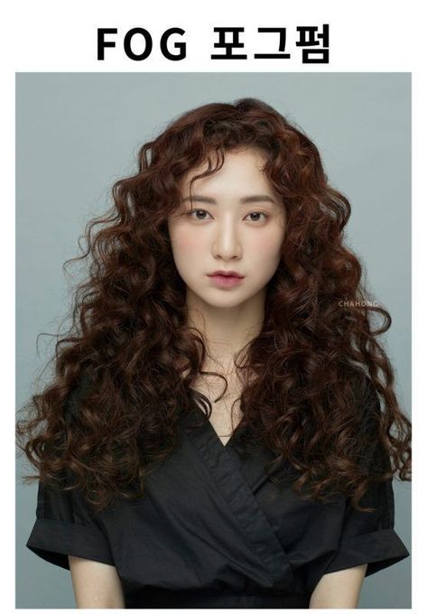 Curly Asian Hair, Korean Wavy Hair, Long Curly Black Hair, Black Curly Hair, Curly Girl Hairstyles, Permed Hairstyles, Hair Collection, Long Curly Hair, Korean Hairstyle