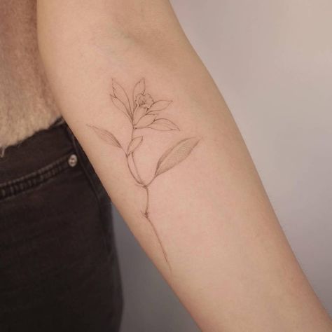 Narcissus Flower Tattoo Forearm, Narciccus Tattoo, Holly And Narcissus Tattoo, Forsythia Tattoo, Narcissus And Holly Tattoo, Narcissus Flower Tattoo, Narcissus Tattoo, Flowers Narcissus, Narcissus Flower Tattoos