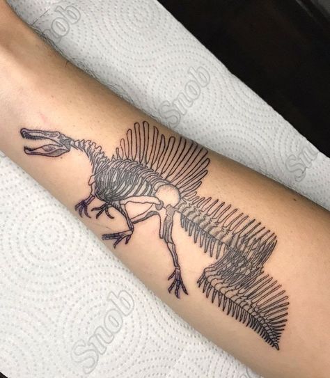 Indominus Rex Tattoo, Fossil Tattoo Dinosaur, Anomalocaris Tattoo, Ankylosaurus Tattoo, Mythosaur Tattoo, Spinosaurus Tattoo, Jurassic Park Tattoo, Indominus Rex, Skeleton Tattoos