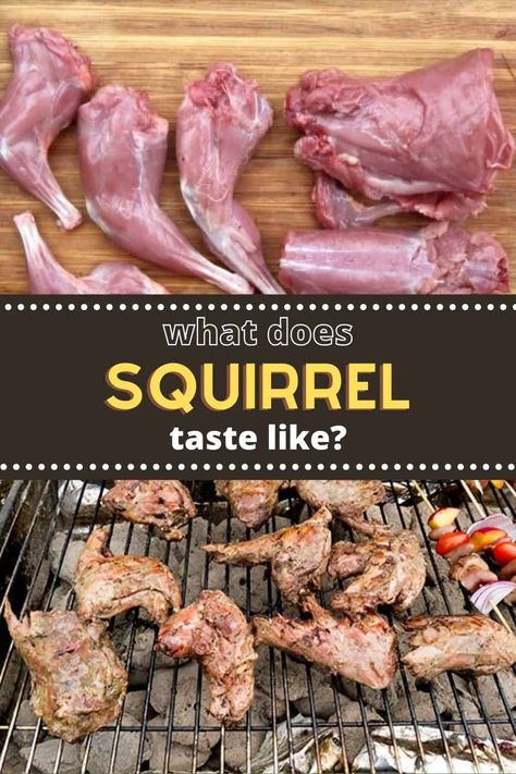 Squirrel meat has found large acceptance in many cultural cuisines around the world both due to its unique taste and the sustainability factor as well. So, what does Squirrel taste like? And why do people eat it? Squirrel Meat Recipes, How To Cook Squirrel, Squirrel Recipes Easy, Cooking Squirrel, Squirrel Recipe, Squirrel Recipes, Squirrel Food, Food Knowledge, Fluffy Tail