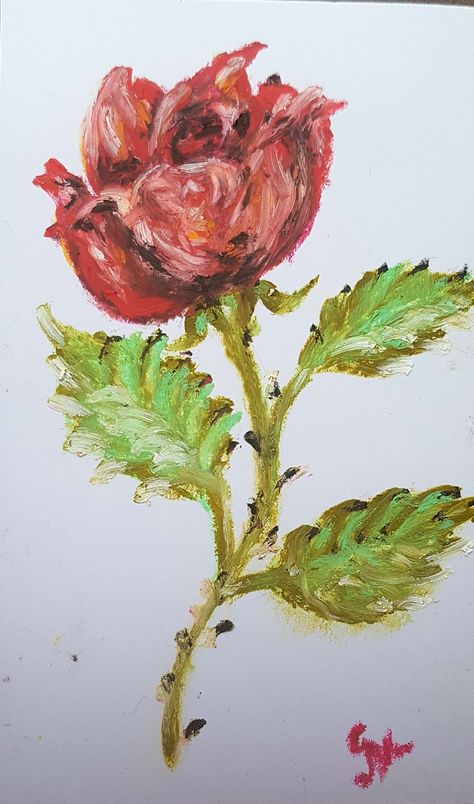 Rose Oil pastels painting The Secret Little House Rose Oil Pastel Drawing, Pink Oil Pastel Art, Pentel Arts Oil Pastels, Rose Oil Pastel, Flower Garden Drawing Oil Pastel, Flower Vase Oil Pastels, Oil Pastels Painting, Pastel Roses, Dry Pastel