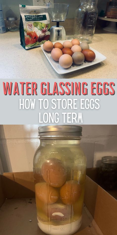 Do you have a surplus of eggs that you need to store eggs for the long term? Water glassing eggs is one of the best ways to store eggs long term. It keeps eggs fresh for up to a year. Learning how to water glass eggs is so easy! Glassing Eggs, Preserve Eggs, Homemade Fly Traps, Preserving Eggs, Food Grade Buckets, Glass Eggs, Storing Eggs, Prepared Eggs, Large Glass Jars