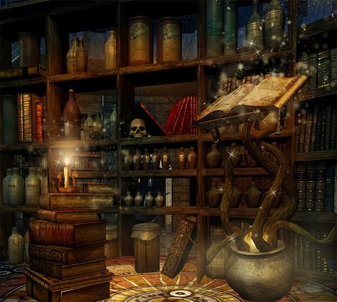 Fantasy Room, Books Photography, Magic Books, Fantasy Rooms, Halloween Backdrop, Between Two Worlds, Fantasy Magic, Vinyl Backdrops, Birthday Halloween Party