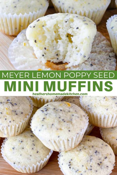 These Meyer Lemon Poppy Seed Muffins are packed full of bright lemon flavor and the perfect amount of sweetness. They are easy to whip up and turn out soft and tender. A great little snack, addition to breakfast or packed in lunches. Health Dessert Recipes, Meyer Lemon Recipes, Poppyseed Muffins, Lemon Poppy Seed Muffins, Seed Muffins, Poppy Seed Muffins, Lemon Poppyseed Muffins, Homemade Buttermilk, Filled Muffins