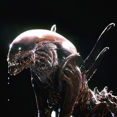 Alien Resurrection, Giger Alien, Predator Helmet, Alien Isolation, Pin Up Poses, Arte Alien, Aliens Movie, Alien Vs Predator, Film Design