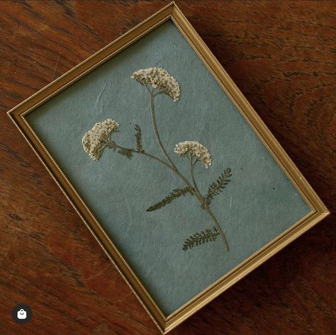 Pressed Flower Painting, Pressed Flowers Diy, Living In Washington State, Flower Press, Nothing But Flowers, Pressed Flower Art, Dried Floral, Good House, Dream Decor