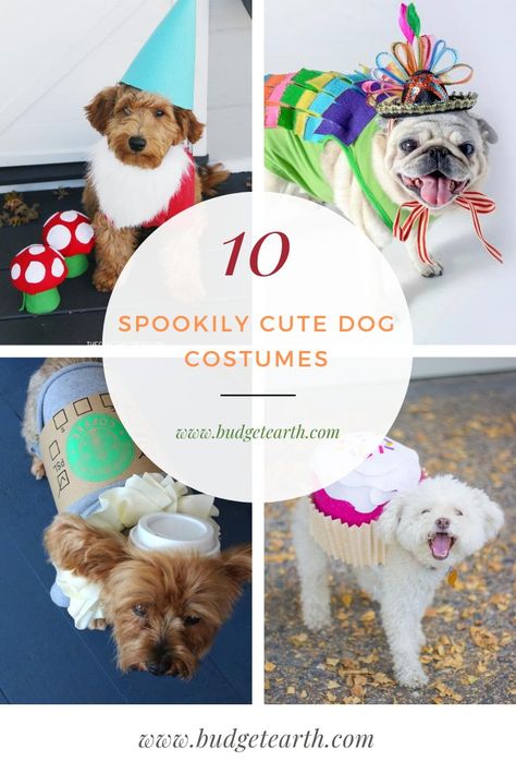 Looking for an adorable costume for dogs? Check out these 10 Spookily Cute Dog Costumes here! #HalloweenCostumes #DogHalloweenCostumes #HalloweenCostumesforDogs #Costumes #CostumesforDogs #dogs #Halloween #DIYHalloween #DIYCostumes Puppy Halloween Costumes, Costume For Dogs, Cute Dog Costumes, Dogs Halloween, Spooky Halloween Costumes, Dog Diy, Diy Dog Costumes, Pet Halloween Costumes, Winter Ideas