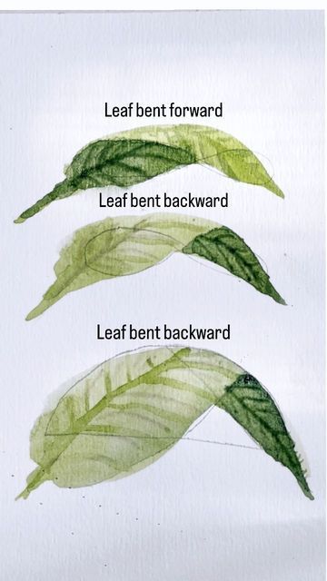 How To Draw Foliage, Watercolor Plants Tutorial, How To Paint A Leaf, Watercolor Leaves Painting, Watercolor Leaves Tutorial, How To Paint Leaves, Watercolor Art Green, Green Leaves Painting, Leaves Artwork