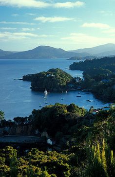 Stewart Island, New Zealand. | by Mike NZ Plockton Scotland, Scotland Holiday, Nz Travel, New Zealand Landscape, New Zealand Houses, New Zealand South Island, New Zealand Travel, Palau, South Island