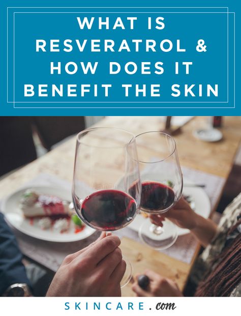 Did you know wine and other alcoholic beverages can be good for the skin (in… Reservatrol Benefits, Resveratrol Benefits Skin, Polyphenols Benefits, Best Red Wine For Health Benefits, Antioxidants Benefits Skin, Extracellular Fluid, Reactive Oxygen Species, Anti Oxidant Foods, Skin Care Benefits