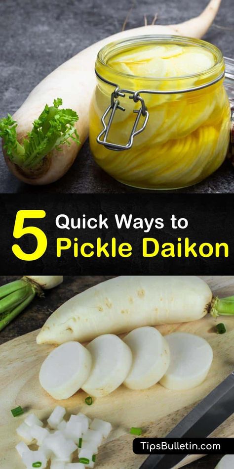 How To Can Radishes, Korean Pickled Radish Recipe, Korean Daikon Radish Recipes, Korean Radish Recipes, Daikon Radish Recipes, Radish Pickle Recipe, Pickled Daikon Recipe, Asian Pickles, Korean Pickled Radish