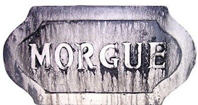 Haunted Towns, Asylum Halloween, Halloween Haunted House Decorations, Spooky Signs, Work Decor, Halloween Crafts Decorations, Goth Home Decor, Halloween Sign, Halloween Decorating