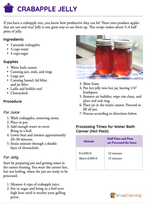 How To Make Crabapple Jelly, Crab Apple Jelly Easy, Fruit Juice Jelly Recipe, Homemade Jelly Recipe, Crabapple Jelly Recipe, Jams Recipes, Wine Jelly Recipe, Homemade Jam Recipes, Crabapple Jelly