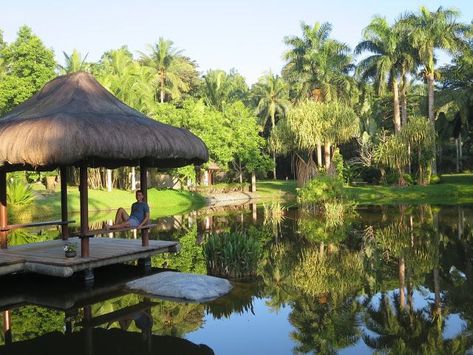 10 Great Detox Retreats to Reboot the Body & Mind - Eluxe Magazine The Farm At San Benito, About Philippines, Farm Retreat, Farm Resort, Urbanism Architecture, Resort Ideas, Landscape And Urbanism Architecture, Health Retreat, Ethical Travel