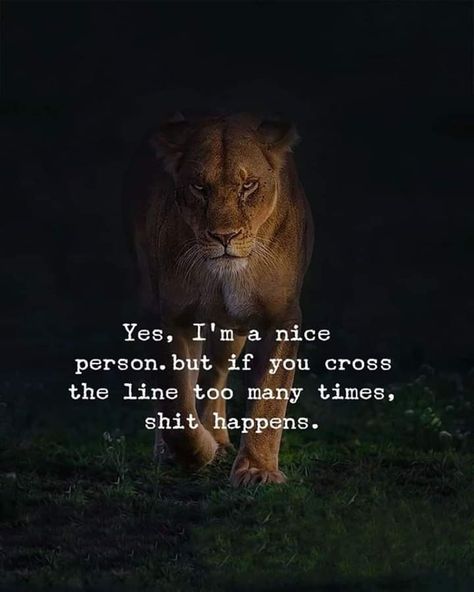 Lioness Quotes, Inspirational Animal Quotes, Good Morning Sister Quotes, Leo Quotes, Lion Quotes, Inspirational Quotes Background, Positive Quotes For Women, Powerful Inspirational Quotes, Strong Mind Quotes