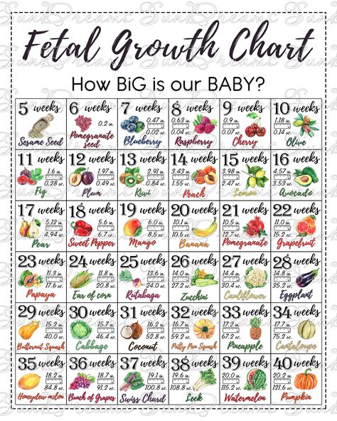 Printable Fetal Growth Chart With Watercolor Illustrations During pregnancy, it is very interesting to watch the growth and weight of your little baby in your tummy week by week.  With the Fetal Growth Chart poster you will always be happy to track the approximate height and weight of your baby in your tummy looking at the fruits and vegetables corresponding to the new week of pregnancy. Give yourself a positive feeling and keep track week by week  How Big is your Baby♥ Best for printing on the Pregnancy Chart Weeks, Weeks Of Pregnancy Chart, Baby Growth Chart In Womb, Size Of Baby Week By Week, Pregnancy Growth Chart, Fetal Growth Chart, Baby Size By Week, Baby Weight Chart, 1st Grandchild