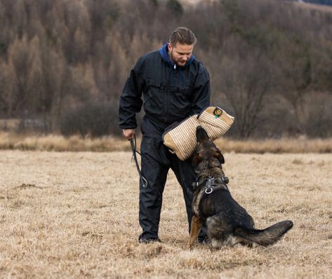 What is a personal protection dog? Dog Deterrent, Personal Bodyguard, Personal Protection Dog, Protection Dogs, Live Camera, Personal Protection, Loved Ones, First Love, Dogs