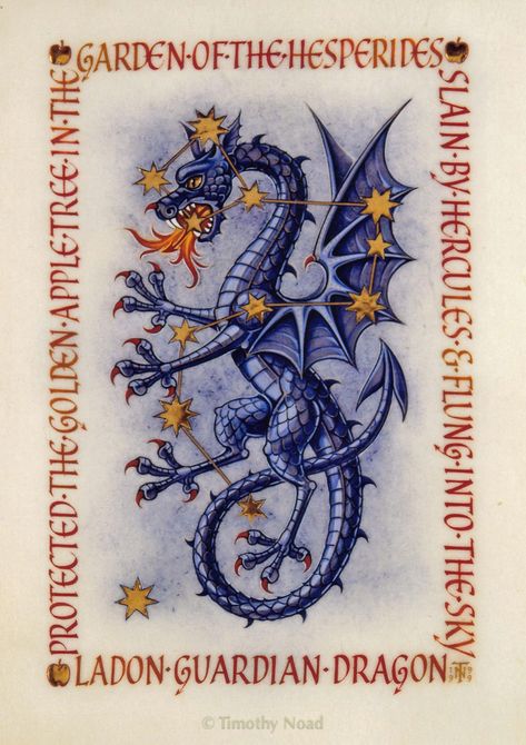 Constellation Draco, Dragon Medieval, Medieval Dragon, Medieval Artwork, Etiquette Vintage, Constellation Tattoo, Cool Dragons, Dragon Illustration, Constellation Tattoos