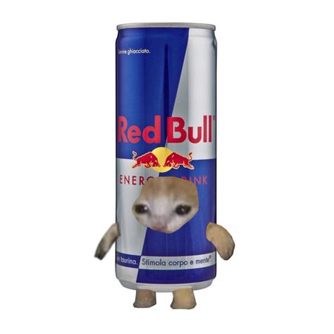 Food Cat, Red Bull, Energy, Red