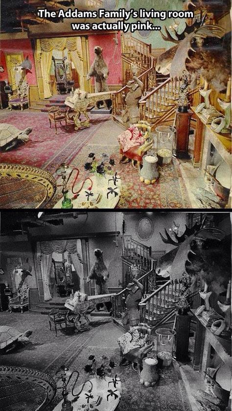 The set of the munsters was pink!! So cool Addams Familie, Adams Family, Black And White Film, Picture Day, Photo Vintage, To Infinity And Beyond, Addams Family, Full House, The More You Know