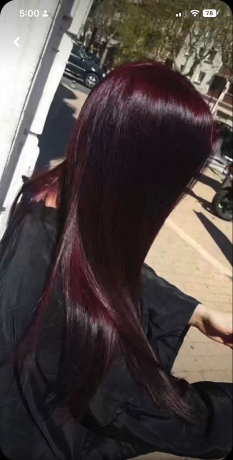 Black Red Cherry Hair, Jet Black Hair With Red Tint, Black Cherry Red Hair Color, Level 3 Red Hair, Deep Cherry Black Hair, Dark Violet Red Hair Color, Bergandi Color Hair, Ruby Noir Hair Color, Dark Ruby Hair Color