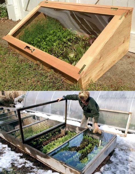 42 Best DIY Greenhouses ( with Great Tutorials and Plans! ) - A Piece of Rainbow Rainbow Greenhouse, Greenhouse Backyard, Diy Greenhouses, Cold Frame Diy, Window Greenhouse, Mini Serre, Cold Frames, Diy Greenhouse Plans, Free Building Plans