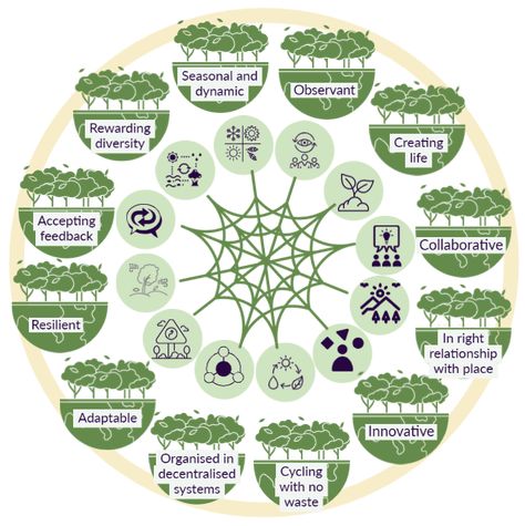 Regenerative Organisation FUNDAMENTALS Regenerative Business, Self Organization, Change Maker, Tree Hugger, Social Media Engagement, Inspired By Nature, Product Photography, Online Community, Business Growth