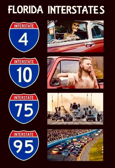 Florida Meme, Florida Humor, Florida Man Meme, Driving Memes, Florida Quotes, Florida Funny, Milton Florida, Florida Life, Florida Man