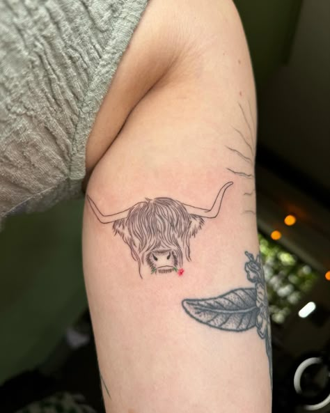 @tashcosmos_tattoo • Instagram photos and videos Small Highland Cow Tattoo, Highland Cow Tattoo Ideas, Fluffy Cow Tattoo, Highland Cow Tattoo Simple, Scotland Tattoo Ideas, Cow Tattoos, Highland Cow Tattoo, Farm Tattoo, Scotland Tattoo