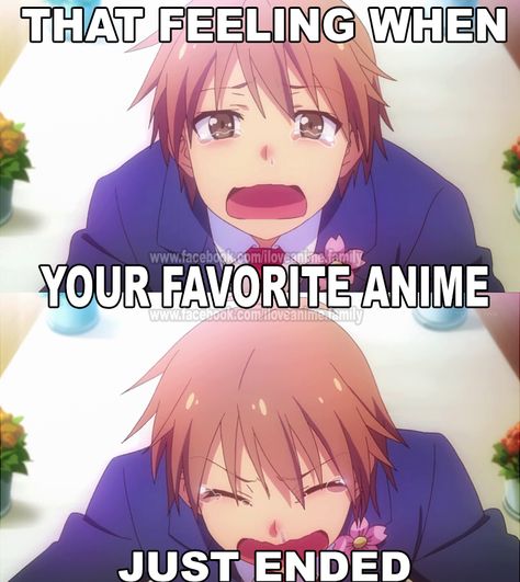 Otaku Problems, Anime Facts, Otaku Issues, Anime Fandom, A Silent Voice, Anime Jokes, That Feeling, Anime Memes Funny, I Love Anime