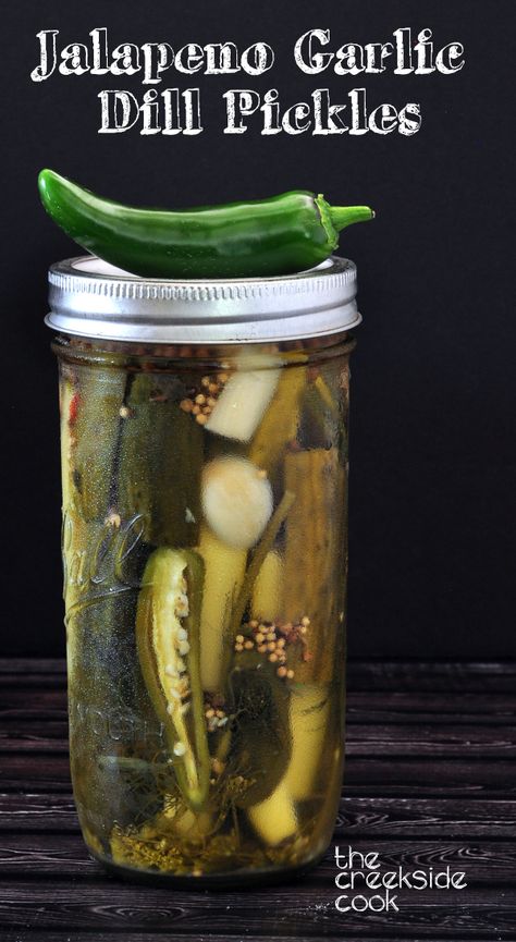 Garlic Dill Pickles, Pickle Vodka, How To Make Pickles, Canning Pickles, Spicy Pickles, Pickling Salt, Canning Vegetables, Jalapeno Peppers, Refrigerator Pickles