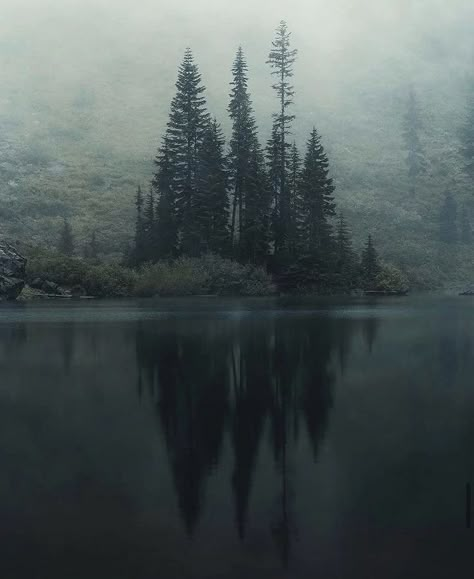 Northwest Pacific, Dark Naturalism, Dark Forest Aesthetic, Dark Nature Aesthetic, Flight Deals, Misty Forest, The Fog, Dark Places, Dark Photography