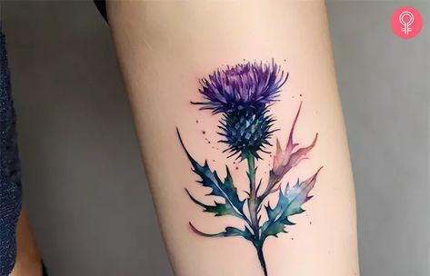 Witch Hazel Tattoo, Small Scottish Tattoos For Women, Scottish Thistle Tattoo Delicate, Scottish Tattoos For Women Scotland, Chicory Flower Tattoo, Thistle Meaning, Scottish Tattoos Men, Scottish Tattoo Ideas, Scottish Tattoos For Women