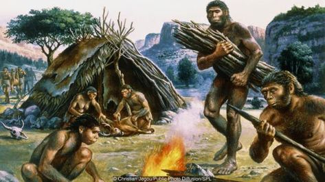 1.5 Million - 400,000 Years Ago: Fire Power - Missing the Forest for the Tree: A Worldview Grounded in Science Human Evolution Tree, Prehistoric People, Homo Heidelbergensis, Biological Anthropology, Drawing The Human Head, Homo Habilis, American Indian Artwork, Homo Erectus, Prehistoric Man