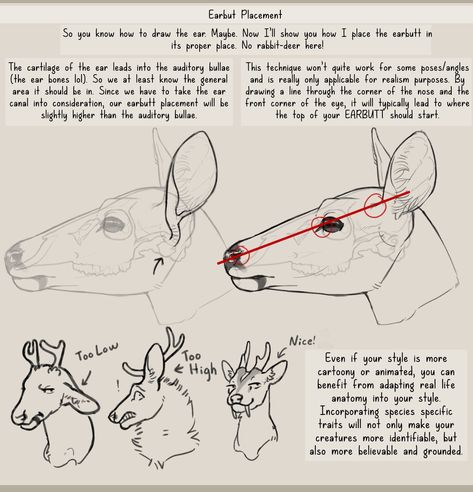 Deer Hooves Drawing Reference, Deer Anatomy Drawing Reference, Goat Tutorial Drawing, Wolf Anatomy Reference Head, Coyote Anatomy, Deer Drawing, Art Advice, Animal Study, Deer Art