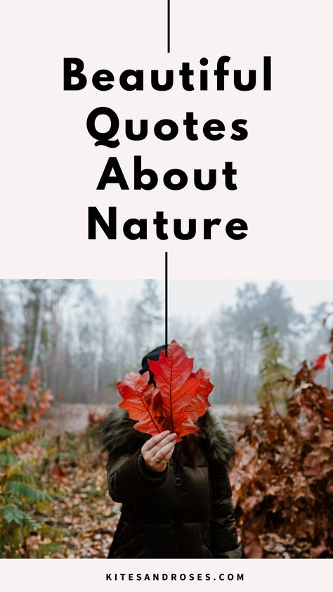 Looking for quotes about nature? Here are the true words and sayings that will help you appreciate and value the beauty of the Mother Nature. Nature Bliss Quotes, Mother Nature Quotes Wisdom, Love For Nature Quotes, Love Of Nature Quotes, Appreciate Nature Quotes, Appreciating Nature Quotes, Nature And Love Quotes, Mother Nature Quotes Beauty, Quotes About Nature And God