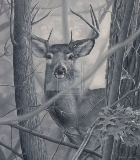 Noticed by Misted-Dream on DeviantArt Hunting Drawings, Deer Sketch, Deer Artwork, Deer Drawing, Pencil Drawings Of Animals, Deer Tattoo, Hunting Art, Deer Art, Wood Burning Art