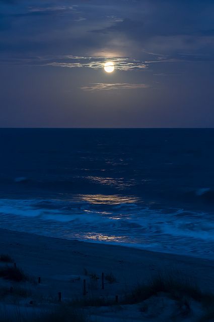 EI - Moonlit Shoreline by Christopher Lane Photography Ocean At Night, Beach At Night, Night Scenery, Moon Photography, Night Aesthetic, Nature Aesthetic, Short Story, Sky Aesthetic, Scenery Wallpaper