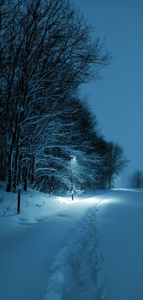 Walking In The Snow At Night, Snow Asthetic Wallpers, Snow Astethic Night, Winter Night Photography, Night Snow Wallpaper, Snow Asethic, Snow Screensaver, Snowy City Night, Snowy Night Wallpaper