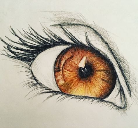 Learn How To Draw A Realistic Eye Drawing Sketch In 8 Easy Steps.