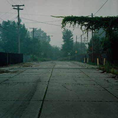 Deserted Detroit Neighborhood - Where did all the flowers go - long time passing… Empty Street, Dystopian Aesthetic, Apocalypse Aesthetic, Between Two Worlds, Apocalypse Survival, Fallout New Vegas, Post Apocalypse, Back To Nature, Zombie Apocalypse