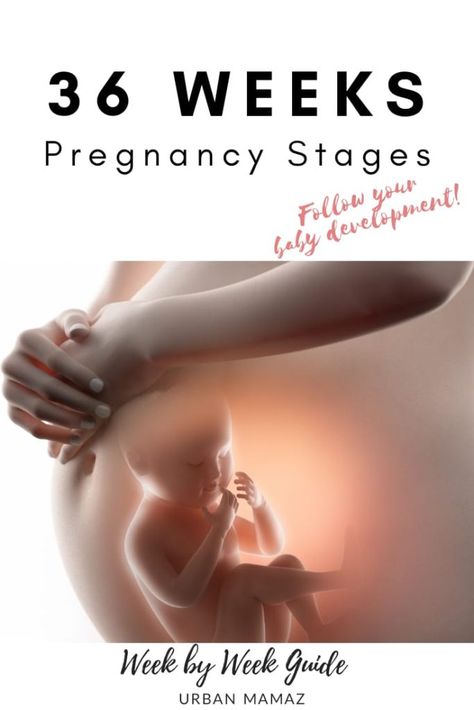 Pregnancy Trimesters, Pregnancy Development, Body Changes During Pregnancy, Week By Week Pregnancy, Third Trimester Pregnancy, 36 Weeks Pregnant, 36 Weeks, Pregnancy Guide, Mommy Tips