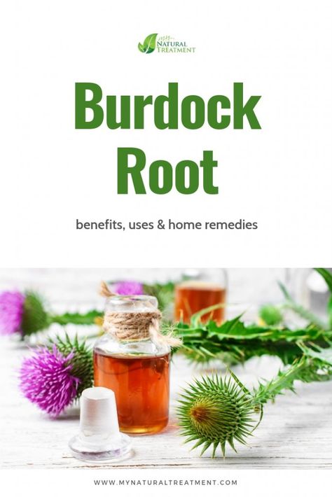 Burdock Root Benefits, Burdock Root Tea, Essiac Tea, Crunchy Life, Herbs Remedies, Survival Preparedness, Herbal Coffee, Dandruff Remedy, Natural Things