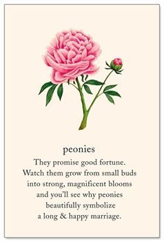 Peony Meaning, Secret Language, Flower Meanings, Peony Wedding, Symbols And Meanings, Spiritual Symbols, Language Of Flowers, Flower Quotes, Happy Marriage