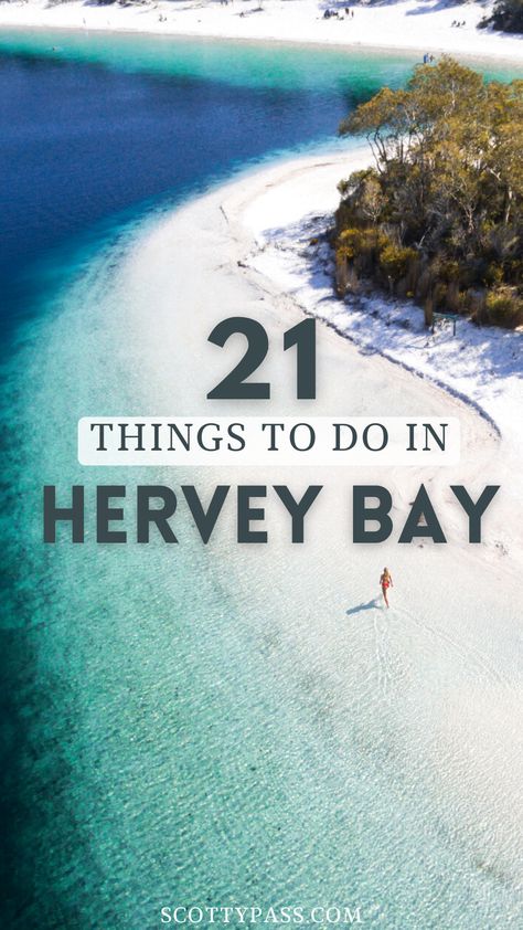 Hervey Bay, Fraser Island, Adventure Activities, Adventure Tours, Coastal Towns, Whale Watching, Australia Travel, Best Hotels, Australia