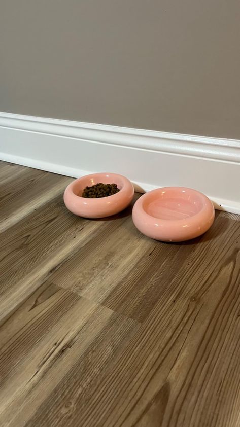 Amazon.com : KTLECL 6.1 Inch Cat Bowls, 7 oz Ceramic Cat Food Bowl, Whisker Fatigue Relief Cat Bowl, Anti-Vomiting, Protect Spine, Perfect for Indoor Cats(2PC Pink) : Pet Supplies Cat Food Bowl Ceramic, Pink Pet, Cat Food Bowl, Indoor Cats, Cat Bowl, Ceramic Cat, Food Bowl, Cat Bowls, Indoor Cat