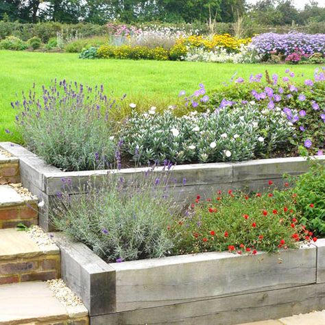 inexpensive but really effective- sleeper construction raised garden beds Landscaping Patio, Country Garden Design, Raised Patio, Tiered Garden, Sloped Garden, Garden Steps, Contemporary Garden, Have Inspiration, Patio Landscaping