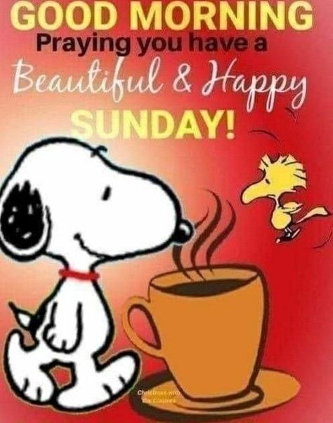 Sunday Snoopy, Snoopy Sunday, Sunday Morning Wishes, Blessed Sunday Quotes, Snoopy Happy Dance, Happy Sunday Morning, Good Day Wishes, Good Morning Snoopy, Sunday Morning Quotes