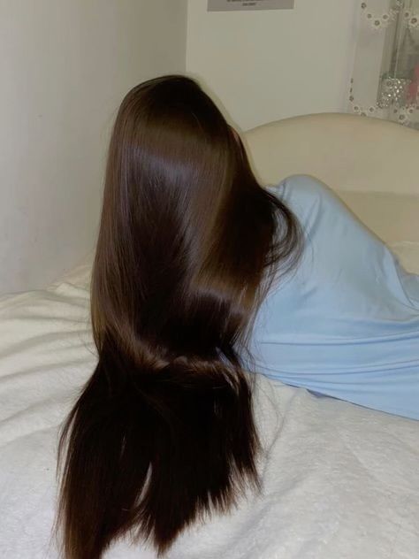 Healthy Hair Aesthetic, Shiny Brown Hair, Silky Shiny Hair, Hairstyle Examples, Hair Inspiration Long, Hair Aesthetic, Ribbon Hairstyle, Hairdos For Curly Hair, Inspo Pics